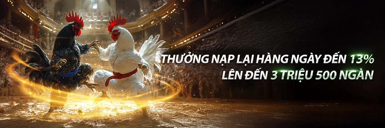 Tin tức mới nhất về 2bong chính thức, cập nhật các sự kiện thể thao và casino